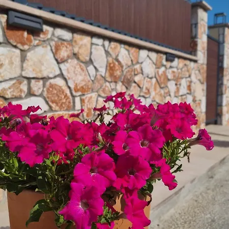 Alema Ξενοδοχείο με διαμερίσματα Ολυμπιάδα